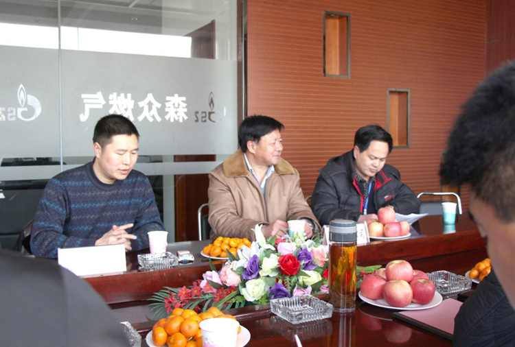 林口县政府与开云app官方下载页面-开云(中国) 燃气项目洽谈.png